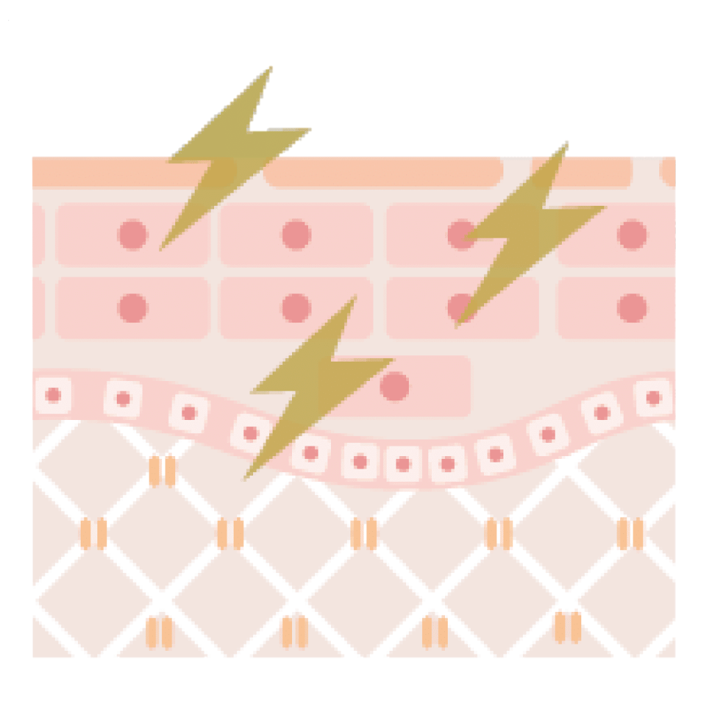 プラズマフェイシャルで肌内部の線維芽細胞を活性化し、弾力や小じわ、毛穴改善のイメージ